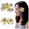 2 PCS 7cm White and Pink Hawaiian Frangipani Plumeria Foam Head Flower Party Beach Hair Clip(White, Pink)